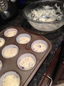 Muffin Mix