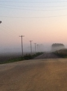 country road with fog