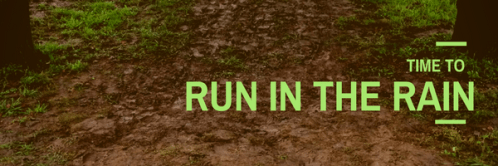 Muddy path between trees.